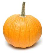 pixwords italiano ZUCCA