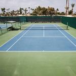 pixwords italiano CAMPO