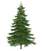 pixwords italiano ABETE