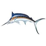 pixwords italiano PESCE SPADA