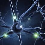 pixwords italiano NERVO