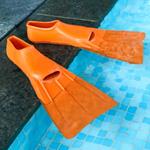 pixwords italiano PINNE