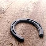 pixwords italiano FERRO