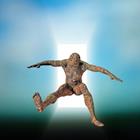 pixwords italiano SALTO