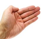 pixwords italiano PALMO