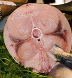 pixwords italiano TONNO